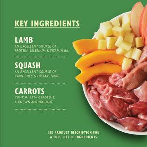 Lily's Kitchen Lamb Hotpot with Potatoes Adult Wet Dog Food 150g - gallery image 2