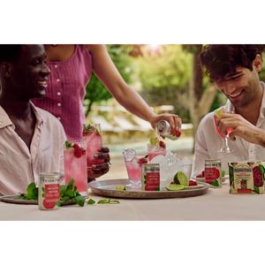 Fever-Tree Raspberry Mojito Mixer 4 x 150ml - gallery image 2