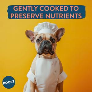 Boost Fresh Food Lamb with Superfoods Dog Food 400g - gallery image 4
