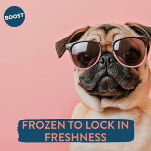 Boost Fresh Food Lamb with Superfoods Dog Food 400g - gallery image 5