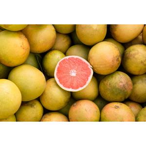 Fever-Tree Pink Grapefruit Soda 6 x 150ml - gallery image 2