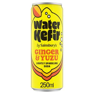 Sainsbury's Water Kefir Strawberry & Hibiscus Lightly Sparkling Soda 250ml