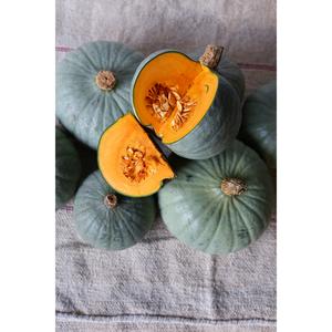 Sainsbury's British Crown Prince Squash, Taste the Difference - gallery image 2