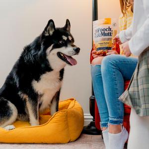 Pooch & Mutt Peanut Butter Vegan Dental Sticks Dog Treats 251g - gallery image 6