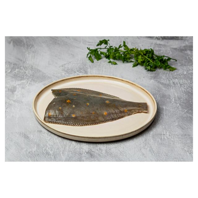 Sound Seafood Whole British Plaice (Approx. 375g) - gallery image 1