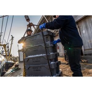 Sound Seafood Wild British Seabass (Approx 1.18kg) - gallery image 3