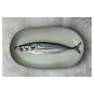 Sound Seafood Whole Mackerel (Approx. 350g) - video
