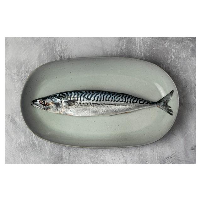 Sound Seafood Whole Mackerel (Approx. 350g)