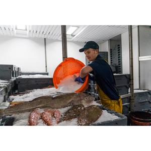 Sound Seafood Whole Mackerel (Approx. 350g) - gallery image 3