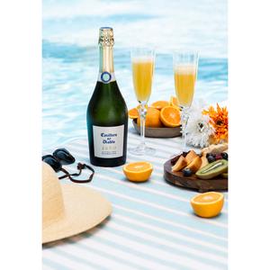 Casillero Del Diablo Zero 0.5% Low Alcohol Sparkling Wine Based Drink 75cl - gallery image 3