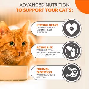 IAMS with Fresh Chicken 11+ Years 800g - gallery image 4