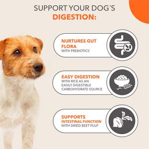 IAMS Sensitive Digestion with Turkey Dog Food 1+ Years 2kg - gallery image 4