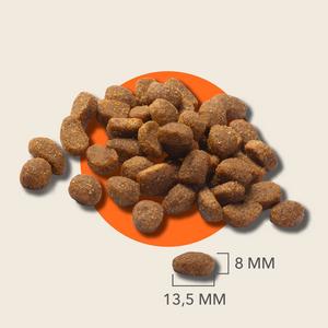 IAMS Sensitive Digestion with Turkey Dog Food 1+ Years 2kg - gallery image 5