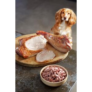 Freshpet Complete Nutrition Turkey Recipe for Working Dogs 800g - gallery image 3