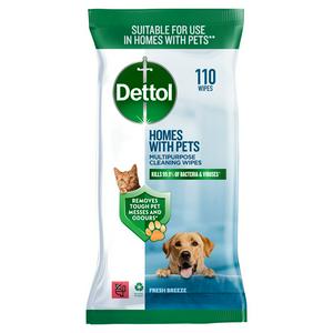 Dettol Standard