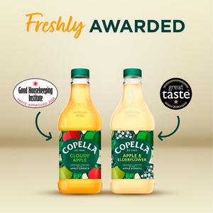 Copella Apple & Mango Fruit Juice 300ml - gallery image 3