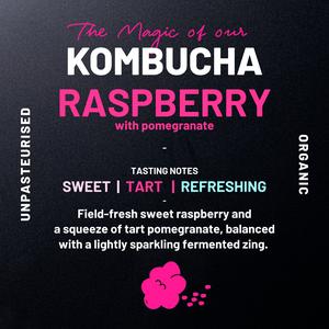 One Living Organic Kombucha Raspberry & Pomegranate 330ml - gallery image 2
