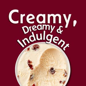Haagen-Dazs Rum Raisin Ice Cream 400g - gallery image 2