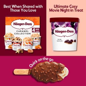 Haagen-Dazs Rum Raisin Ice Cream 400g - gallery image 3