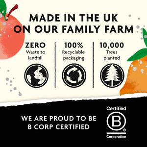 Belvoir Farm Sparkling Mango & Peach 330ml - gallery image 3
