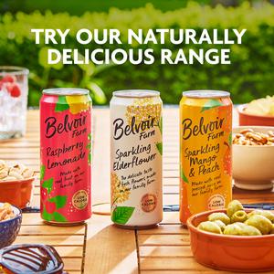 Belvoir Farm Raspberry Lemonade 330ml - gallery image 5