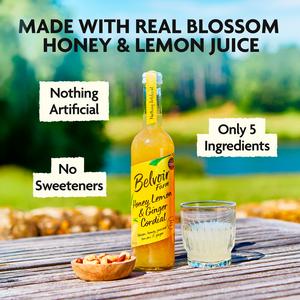 Belvoir Farm Honey, Lemon & Ginger Cordial 500ml - gallery image 2