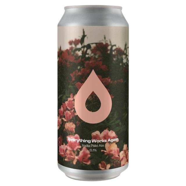 Polly's Everything Works Again IPA 440ml - gallery image 1