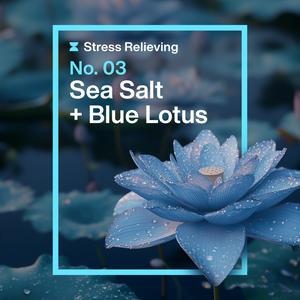 Ineos 50ml Skin Science Sea Salt + Blue Lotus Antiperspirant Roll On Deodorant - gallery image 3