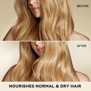 Pantene Base 350ml Pro V Moisture Recharge Normal & Dry Hair Lightweight Conditioner - gallery image 3