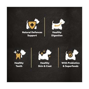 Cesar 1.4kg Fresh Beef, Poultry & Vegetables Adult Dry Dog Food - gallery image 2