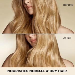 Pantene Base 500ml Pro V Moisture Recharge Nourishes Normal & Dry Hair Shampoo - gallery image 3