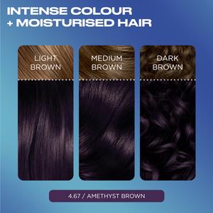 Clairol Nice'N Easy Bold 4.67 Amethyst Brown Permanent Hair Dye - gallery image 3