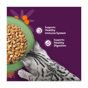 Whiskas Superfoods 6 x 50g 1+ Mixed Selection in Jelly Wet Cat Food Pouches - gallery image 3