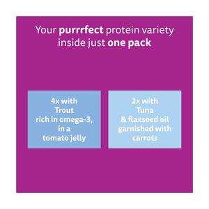 Whiskas Superfoods 6 x 50g 1+ Fish in Jelly Wet Cat Food Pouches - gallery image 5