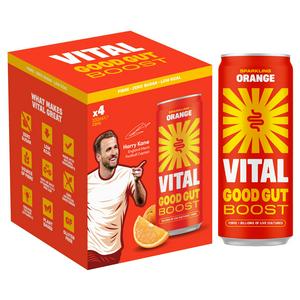 Vital Drinks Natural Energy Sparkling Berries