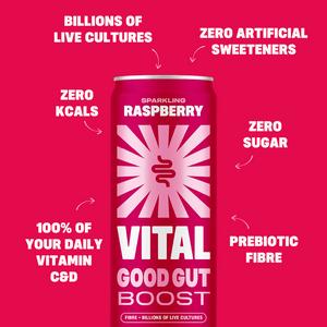 Vital Gut Healthy Sparkling Raspberry 4 x 330ml - gallery image 3