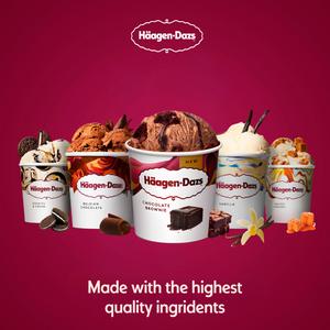 Haagen-Dazs 349g Chocolate Brownie Ice Cream - gallery image 3