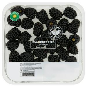 Sainsbury's Standard