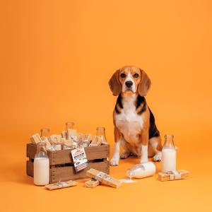 Yakers the Original 4 Months+ Medium Dog Chew & Occupier - gallery image 3