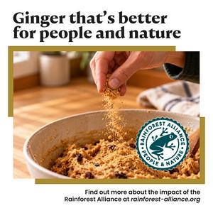 Bart 35g Ginger - gallery image 3