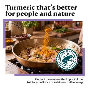 Bart 49g Turmeric - gallery image 3