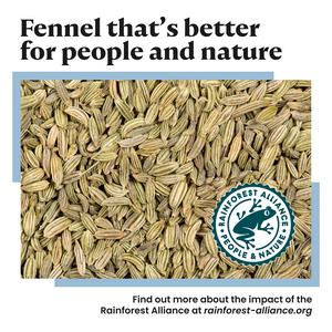 Bart 30g Fennel Seeds - gallery image 3