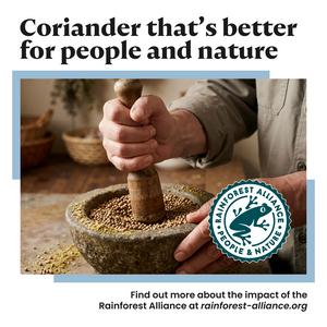 Bart 30g Ground Coriander - gallery image 3