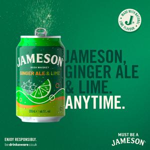 Jameson 330ml Irish Whiskey Ginger Ale & Lime Pre Mixed Drink Can - gallery image 2