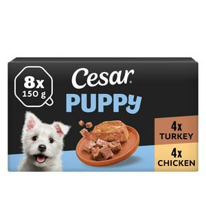 Cesar