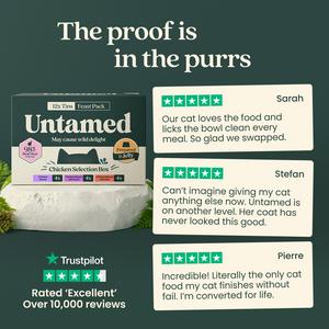 Untamed 12 x 75g Chicken in Jelly Selection Box Cat Food - gallery image 4