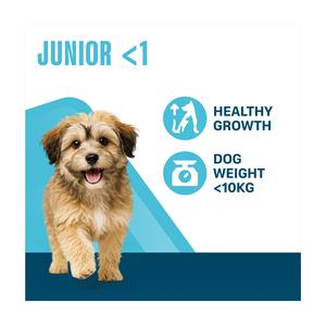 Perfect Fit 825g Chicken Junior/Puppy Small Complete Dry Dog Food - gallery image 2