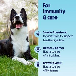 Tails.com Inner Vitality 50g Immunity & Care Vibrant Veggies Sprinkles Meal Topper - gallery image 4