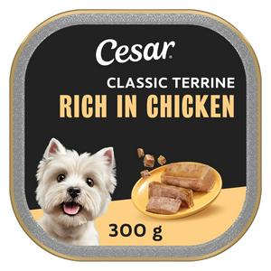 Cesar