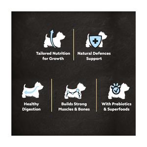 Cesar 1.4kg Junior Puppy Dry Dog Food with Fresh Chicken Rice & Vegetables - gallery image 2